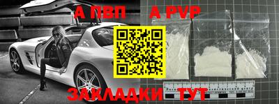кокс Кингисепп