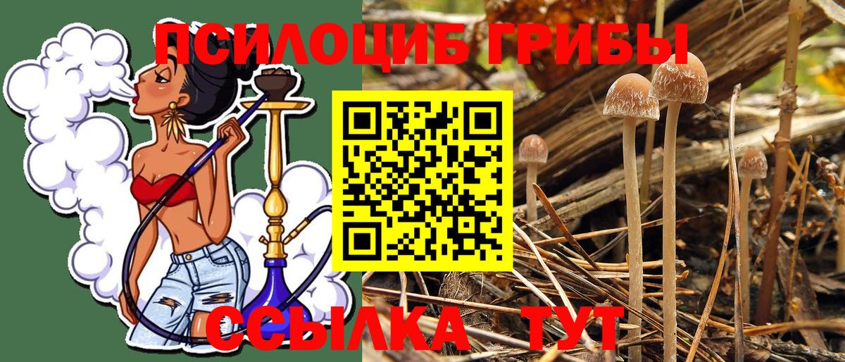 Галлюциногенные грибы мицелий Ялта