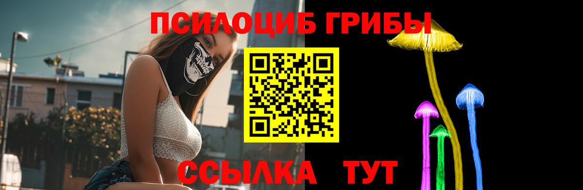 Галлюциногенные грибы Psilocybine cubensis  купить наркотик  Ялта  Вход с VPN 